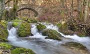 SAN PELLEGRINO TERME - MONTE MOLINASCO - FOTOGALLERY